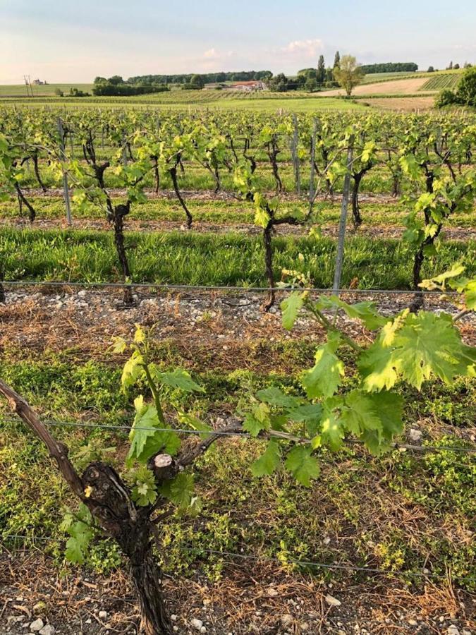 Casa vacanze Le Pigeonnier Verrieres (Charente)